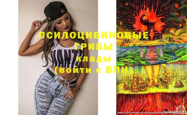 PSILOCYBIN Богданович