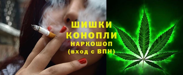 PSILOCYBIN Богданович